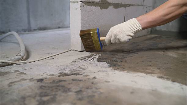 SJ Waterproofing Pros Basement Waterproofing coverage map for Centreville, MI and surrounding area